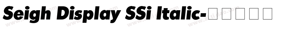 Seigh Display SSi Italic字体转换